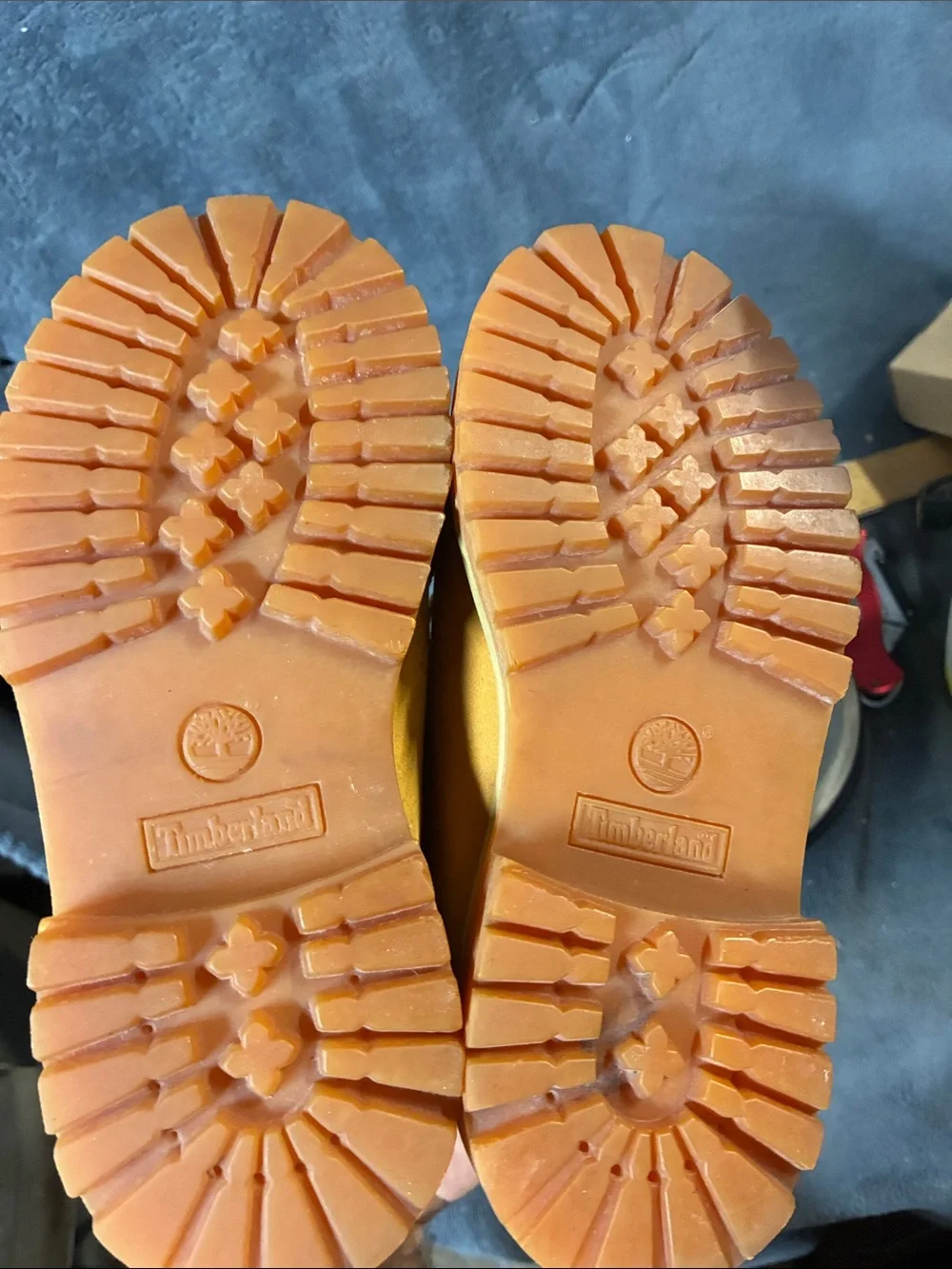 Timberland Wheat Suede Kids Boots with Dark Brown Collar and Yellow/Brown Laces